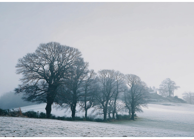 Флис Фототапет Носталгичен природен пейзаж
